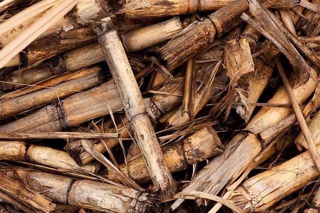 biomasse nell’industria manifatturiera