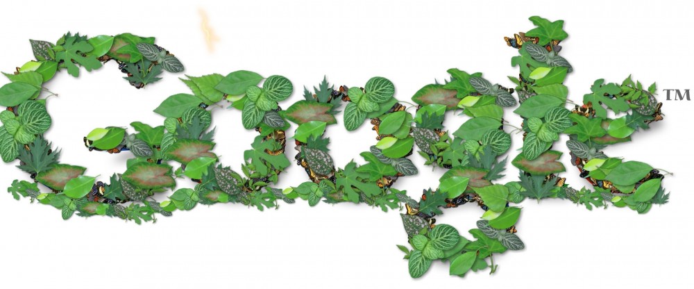 Google Energie Renouvelable