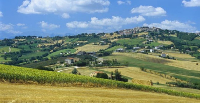 Biodistretto