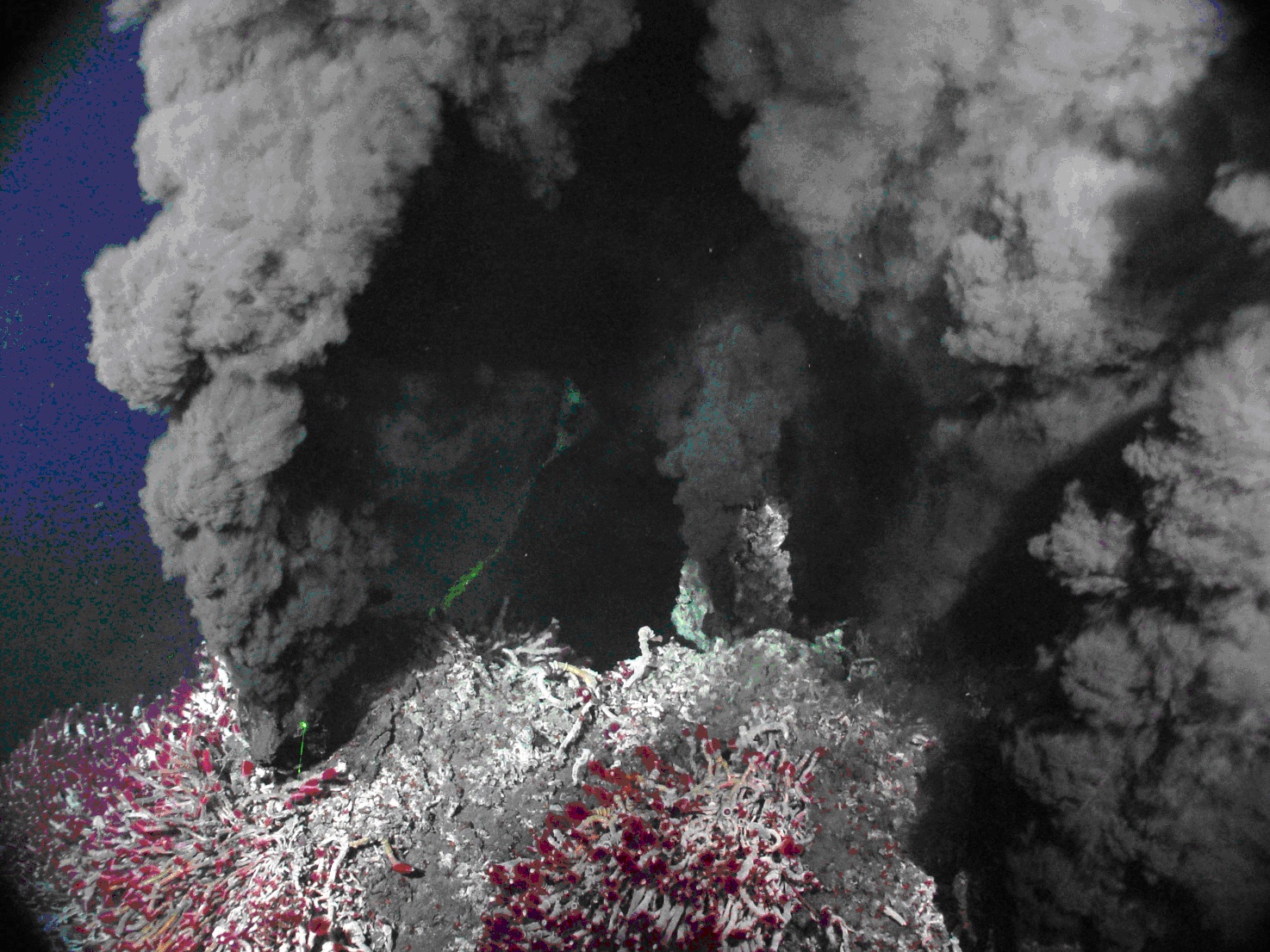 Emissioni idrotermali in acque profonde Emissioni idrotermali in acque profonde