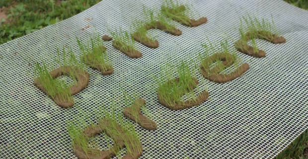 Print Green Print Green