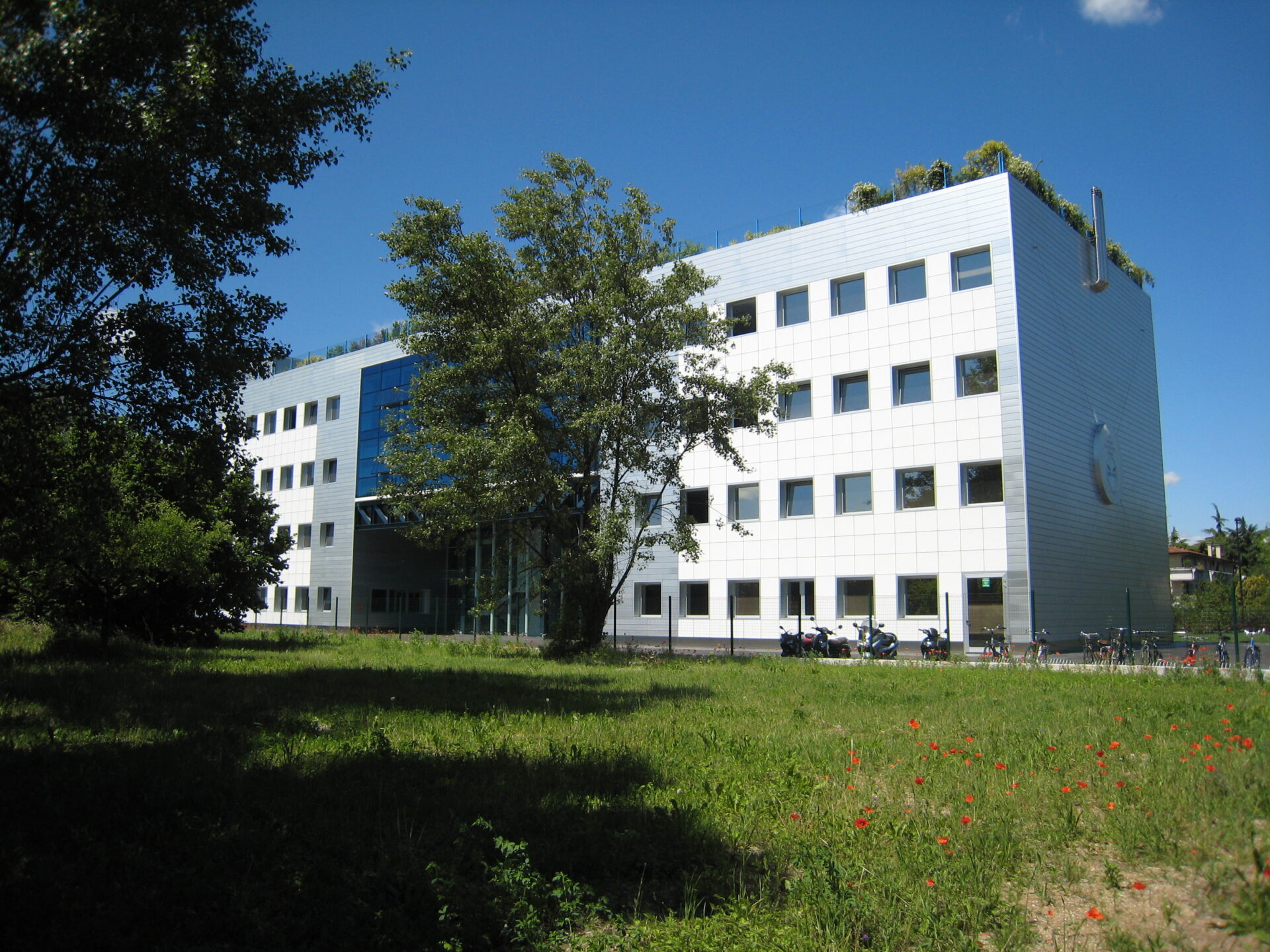English International School English International School