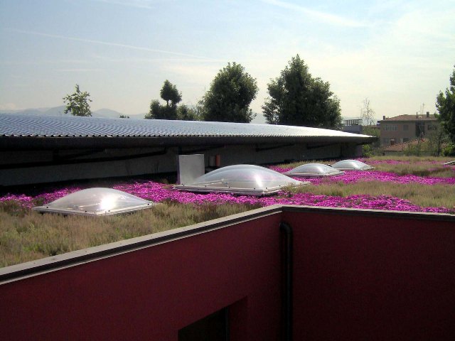 Foto2