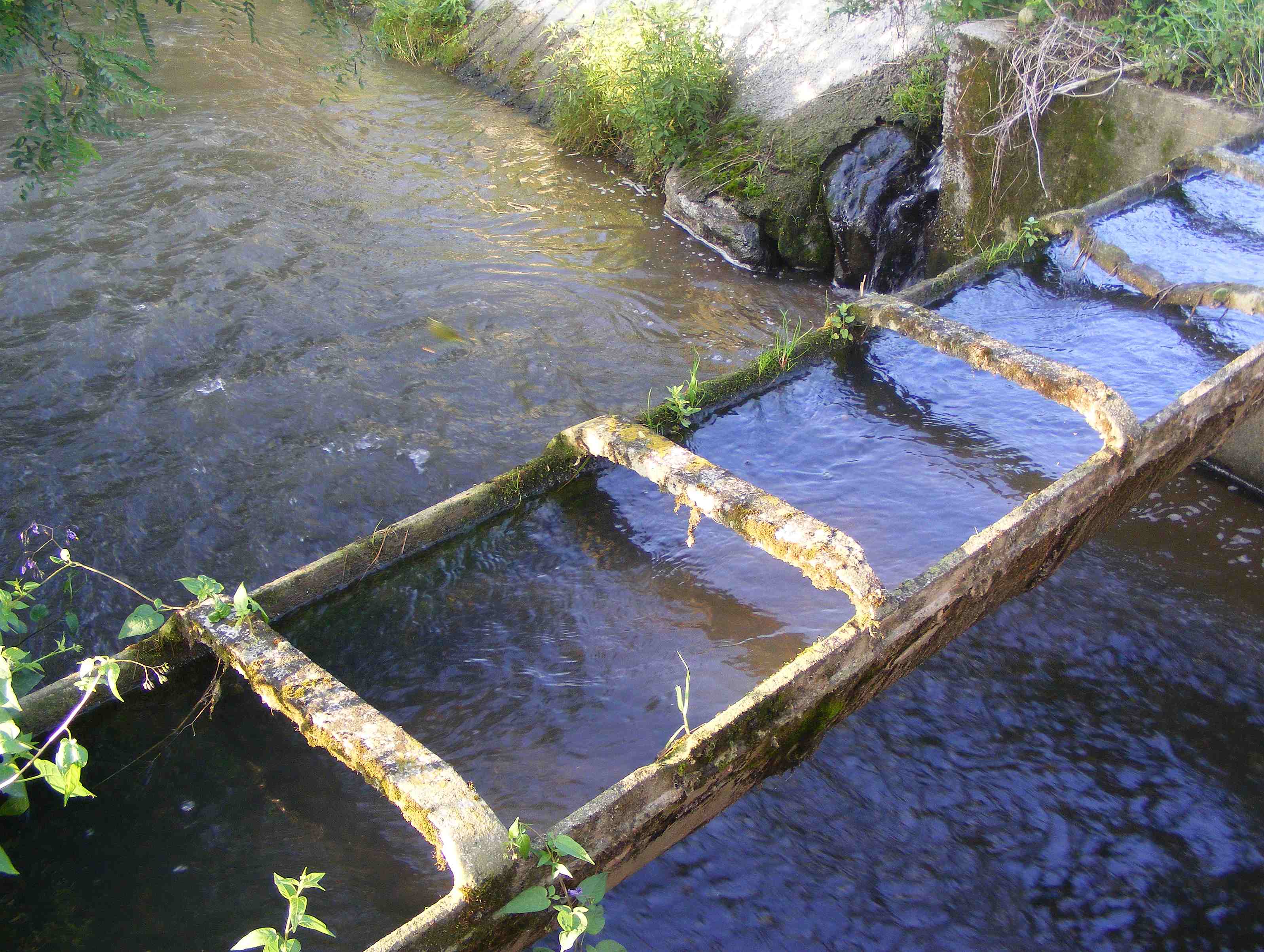 Monitoraggio