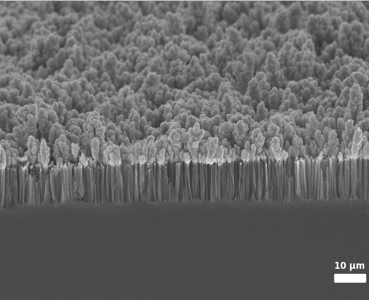 Nanofili
