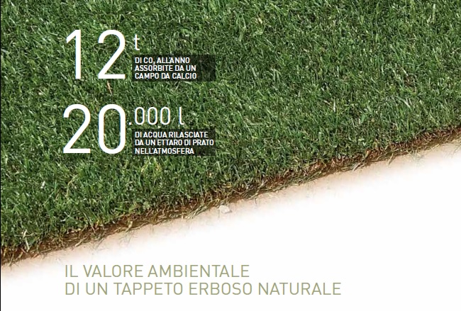 Prato Naturale 1