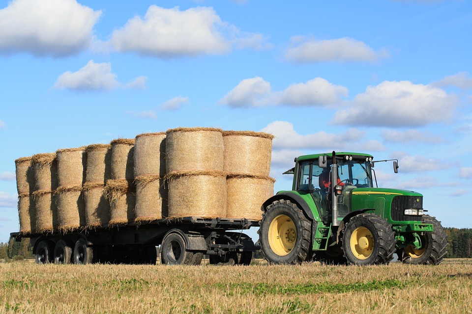 Agricoltura
