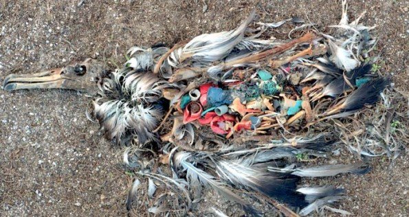 Documentario Midway