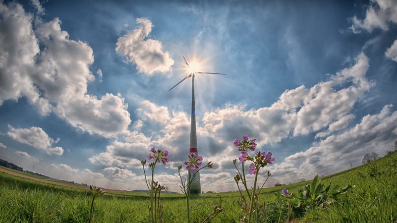 Eolico Manifesto per lo sviluppo dell’eolico