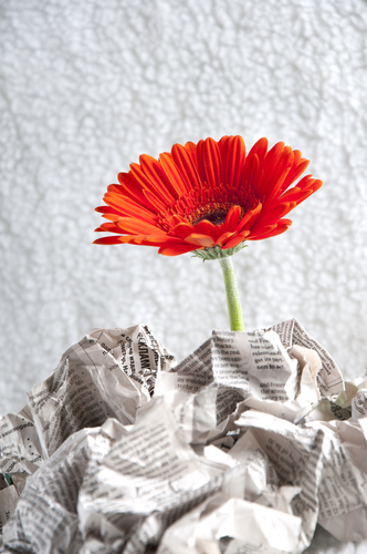 Shutterstock 79810093