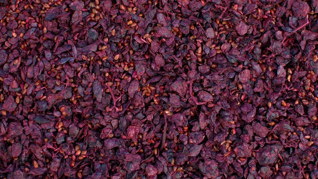 Vino Varie