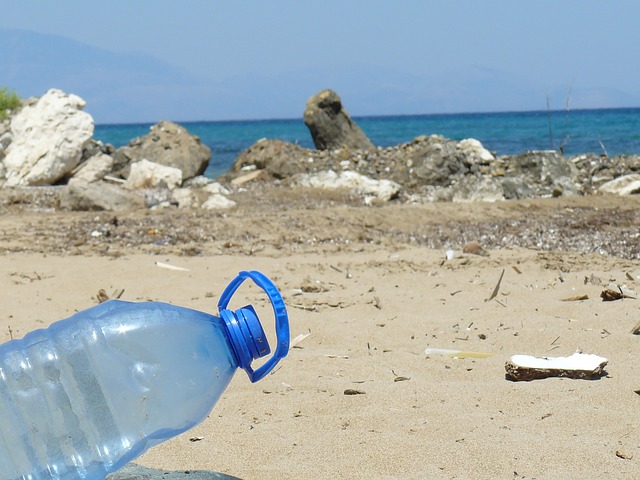 beach littering