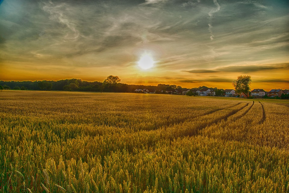 Agricoltura