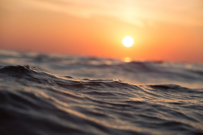 mare conserve ittiche
