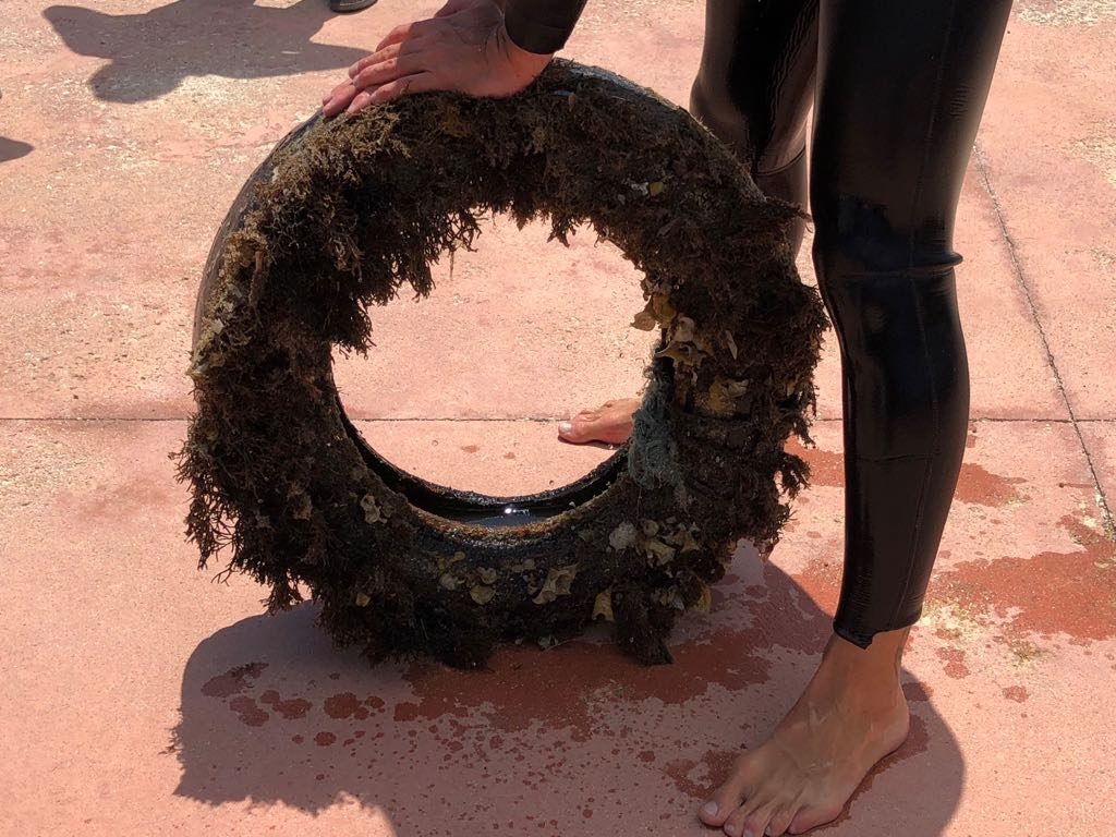 Ecotyre2