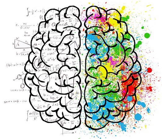 Brain Ante