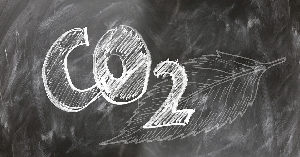 Co2 Lavagna