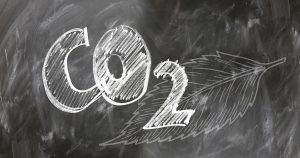 carbonio rinnovabile Rci