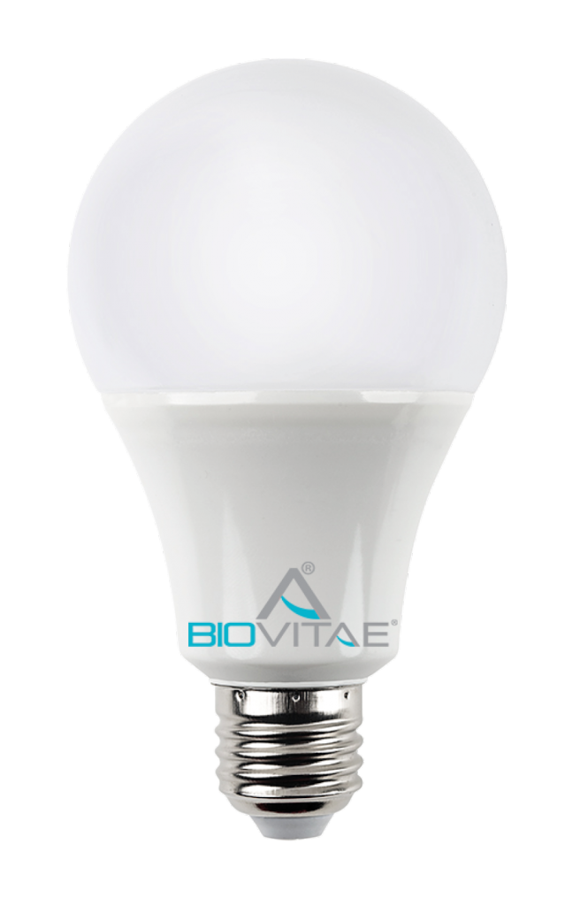 Lampadina