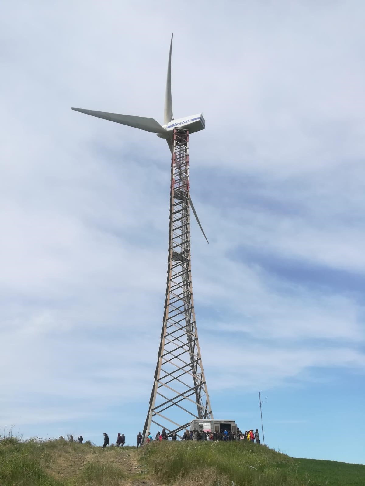 Erg1