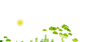Decarbonizzazione, il CESE richiama l’UE: «Incentivare comuni e regioni per rendere la transizione energetica una realtà»