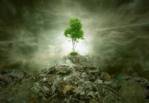 Raee cresce la raccolta, ma ancora lontani dai target europei raee raccolta dati