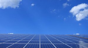 rinnovabili agrivoltaico fotovoltaico