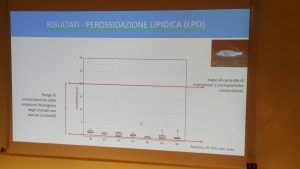 IMG 20190702 1157204
