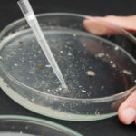 02 Echantillons Microplastiques Londres@Noëlie Pansiot