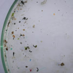 02 Echantillons Microplastiques Tamise@Noëlie Pansiot 7