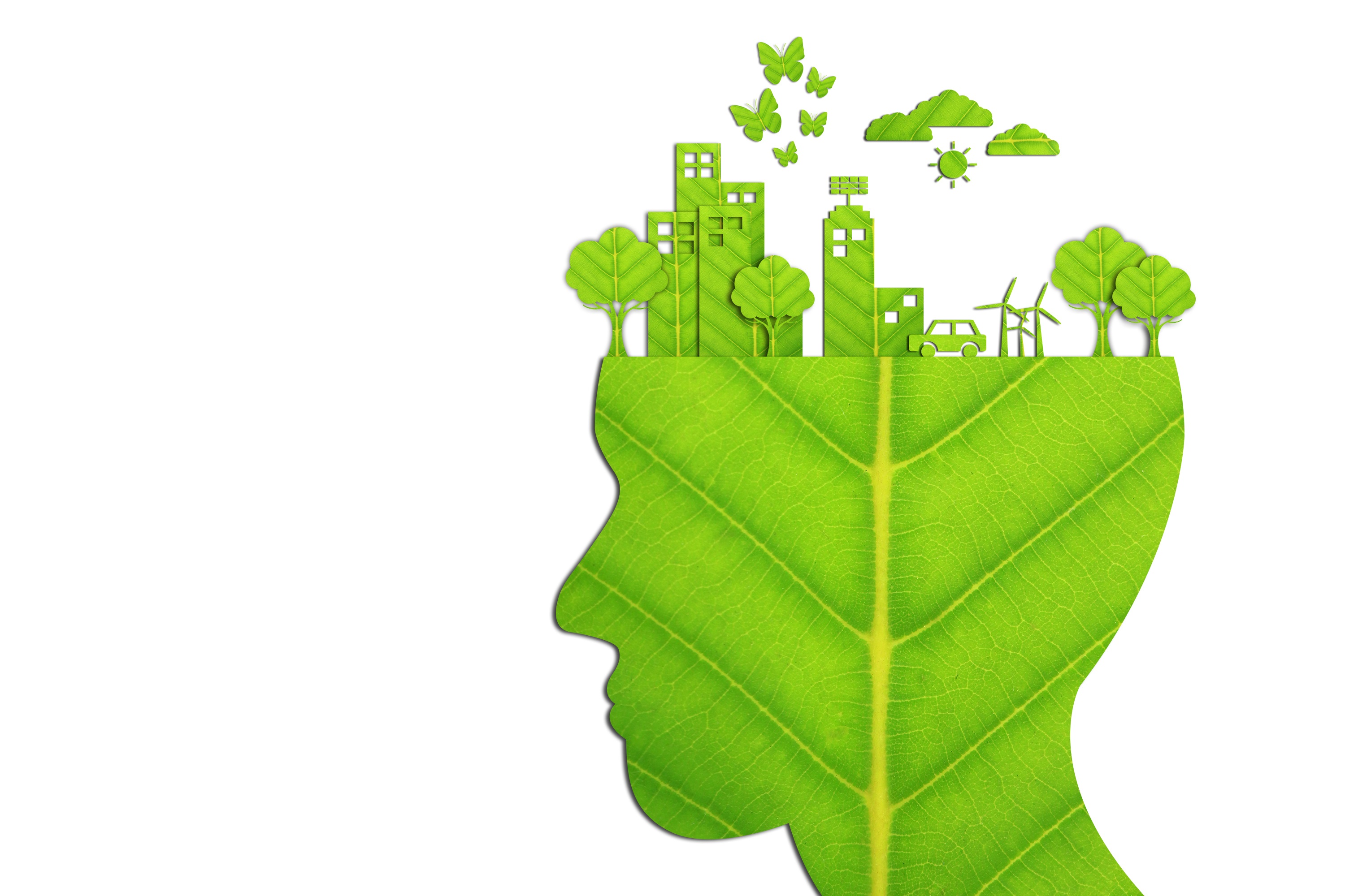 Green Job City