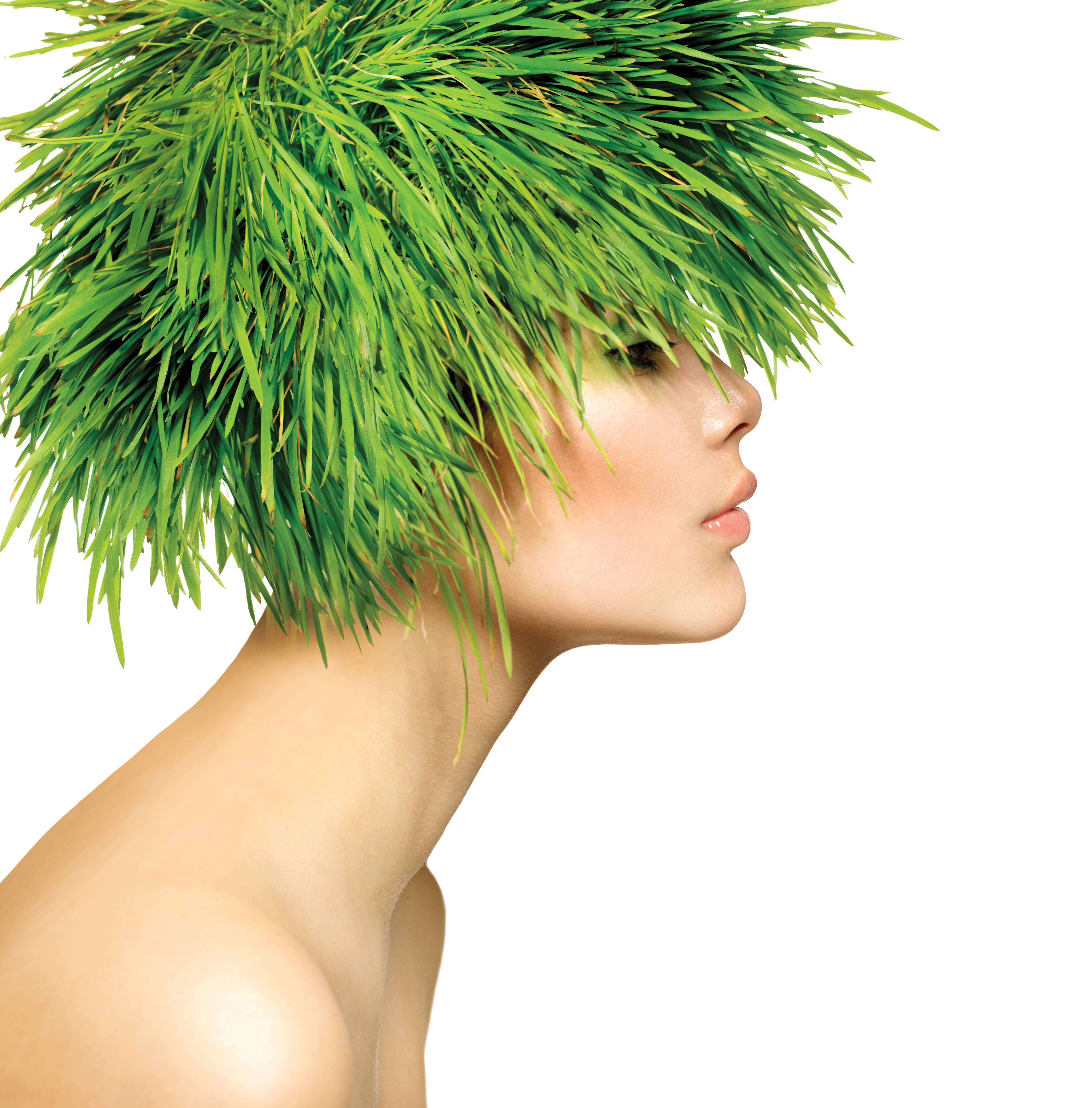 Shutterstock 135459209