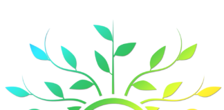 CREALab: il futuro dello stoccaggio energetico made in Italy decolla da Rimini rinnovabili