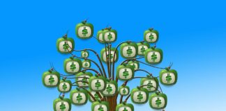 Il Gruppo BEI stanzia 6 miliardi di euro per l’Europa banche e prestiti green finanza sostenibile