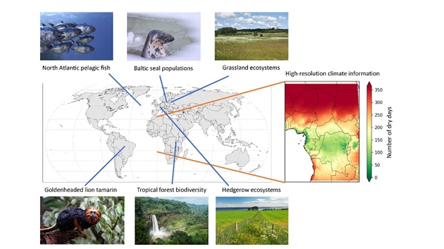 cs3 Biodiversità globale