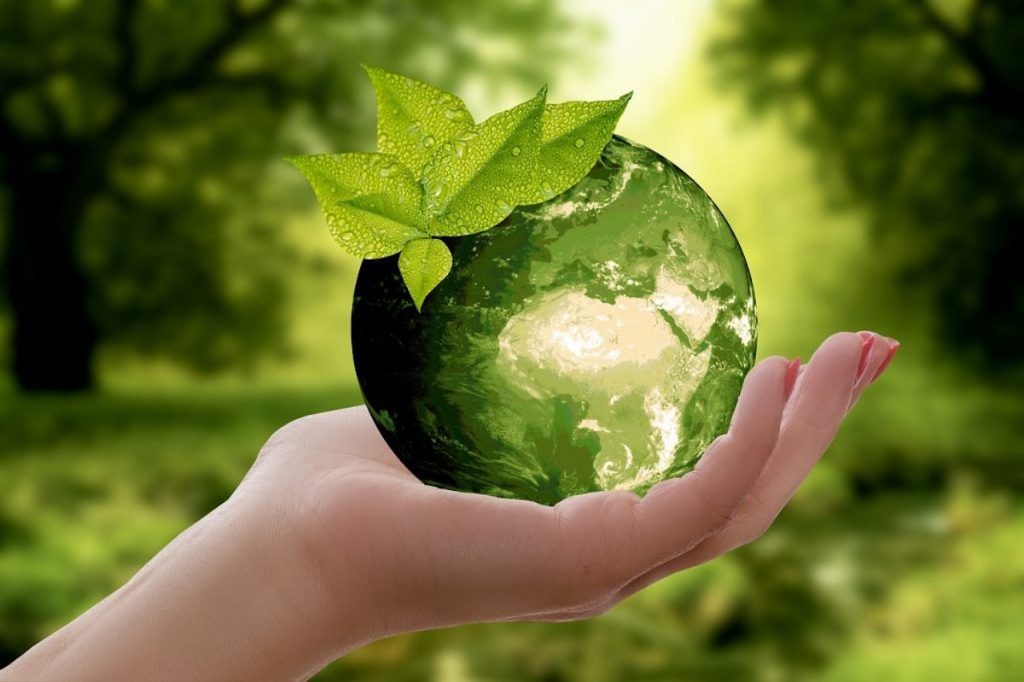 cop 26 novembre