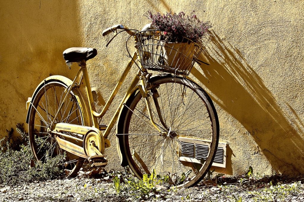 biciclette ricerca online 