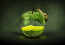 Spreco alimentare: in Europa costa oltre 130 miliardi l’anno filiera alimentare cibo spreco alimentare