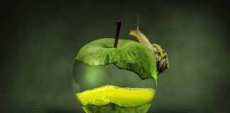 Spreco alimentare: in Europa costa oltre 130 miliardi l’anno filiera alimentare cibo spreco alimentare