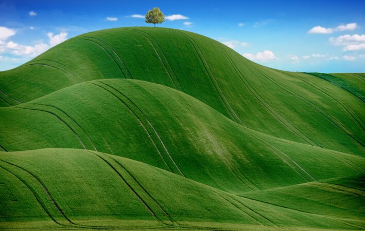 agricoltura Commissione UE misure di sostegno agricoltura Commissione UE misure di sostegno