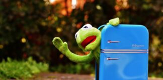 World Vegan Day: 5 consigli di Essere Animali per avvicinarsi a un’alimentazione sostenibile frigorifero rifiuti ingombranti