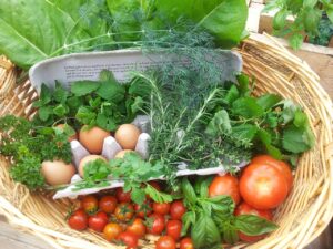 sostenibilità alimentare