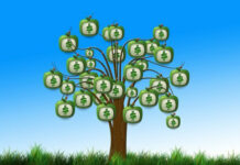 L’ISPRA avvia una task force sulla finanza sostenibile ispra finanza sostenibile