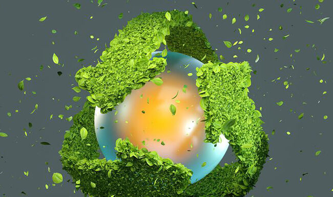 Meva Energy ottiene la certificazione europea EBC per il biochar prodotto a Kisa sostenibilità biofertilizzanti