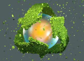 Sostenibilità, cibo e beni di consumo al centro delle scelte dei consumatori sostenibilità