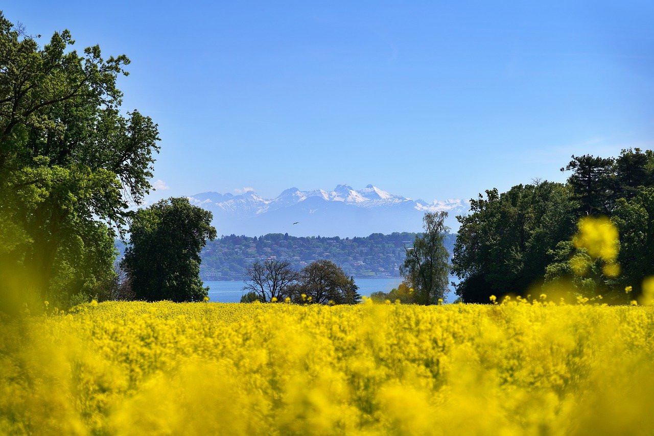 umanità per l’ambiente