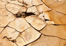 Ondate di calore e siccità: cresce frequenza di giorni con temperature estreme siccità