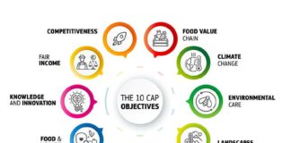 Al via i primi sette piani strategici della Politica agricola comune sette piani strategici I dieci obiettivi chiave della PAC