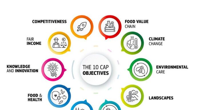 Al via i primi sette piani strategici della Politica agricola comune sette piani strategici I dieci obiettivi chiave della PAC