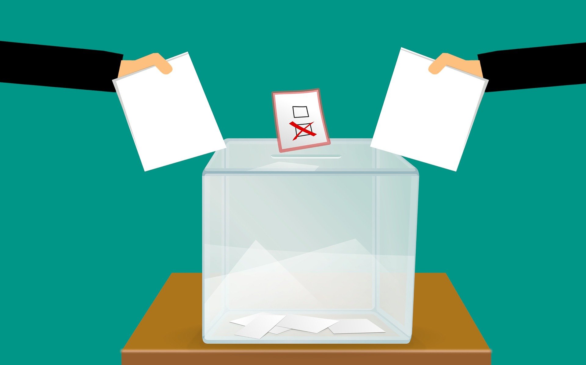 elezioni politiche